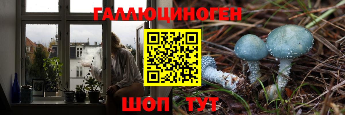 Псилоцибиновые грибы Cubensis Кирово-Чепецк